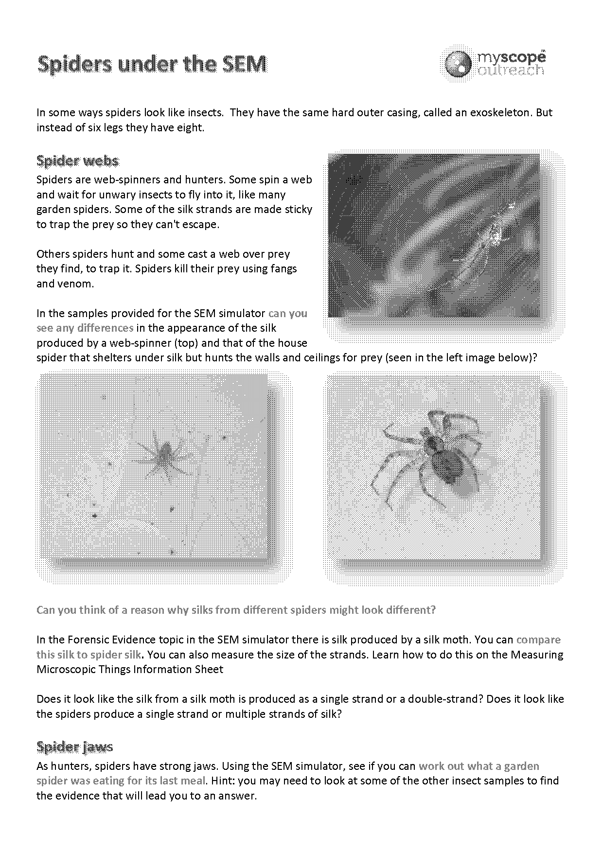 data nugget spiders under the influence answer key pdf